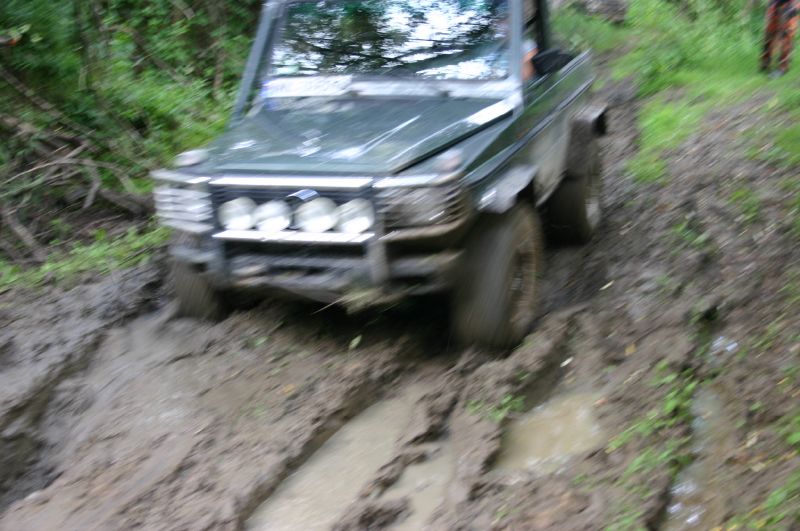 r_IMG_3443.jpg