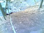 r_14042006_004_.jpg