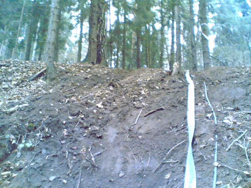 r_14042006_005_.jpg