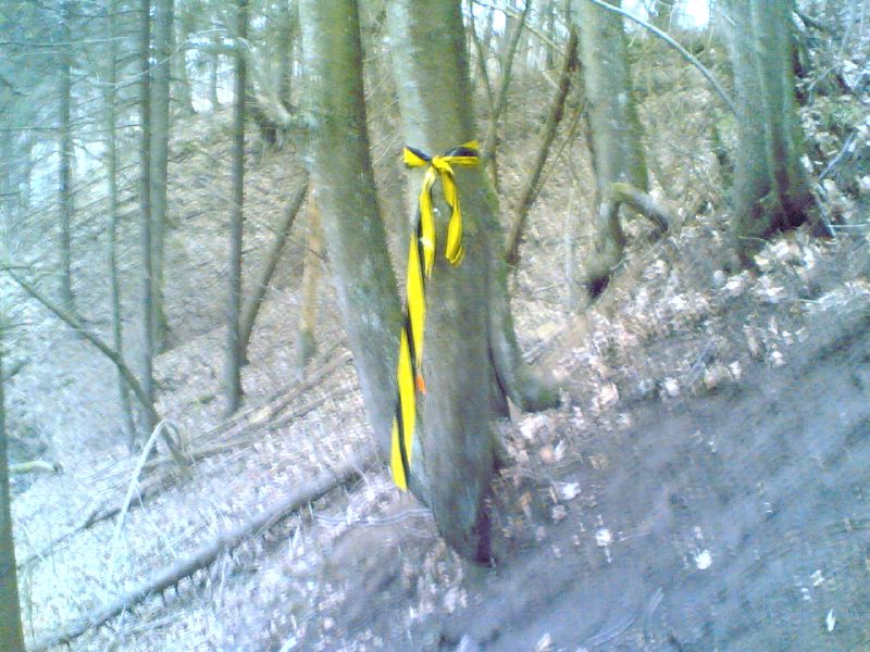 r_14042006_006_.jpg