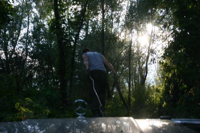 r_IMG_3536.jpg
