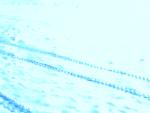 25022006_012_.jpg