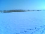 25022006_019_.jpg