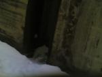 26022006_009_.jpg