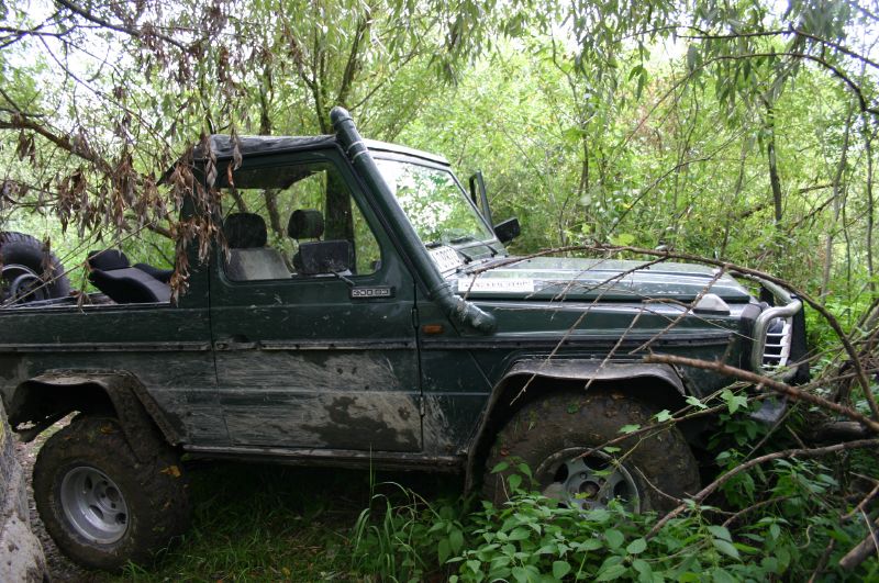 r_IMG_3426.jpg